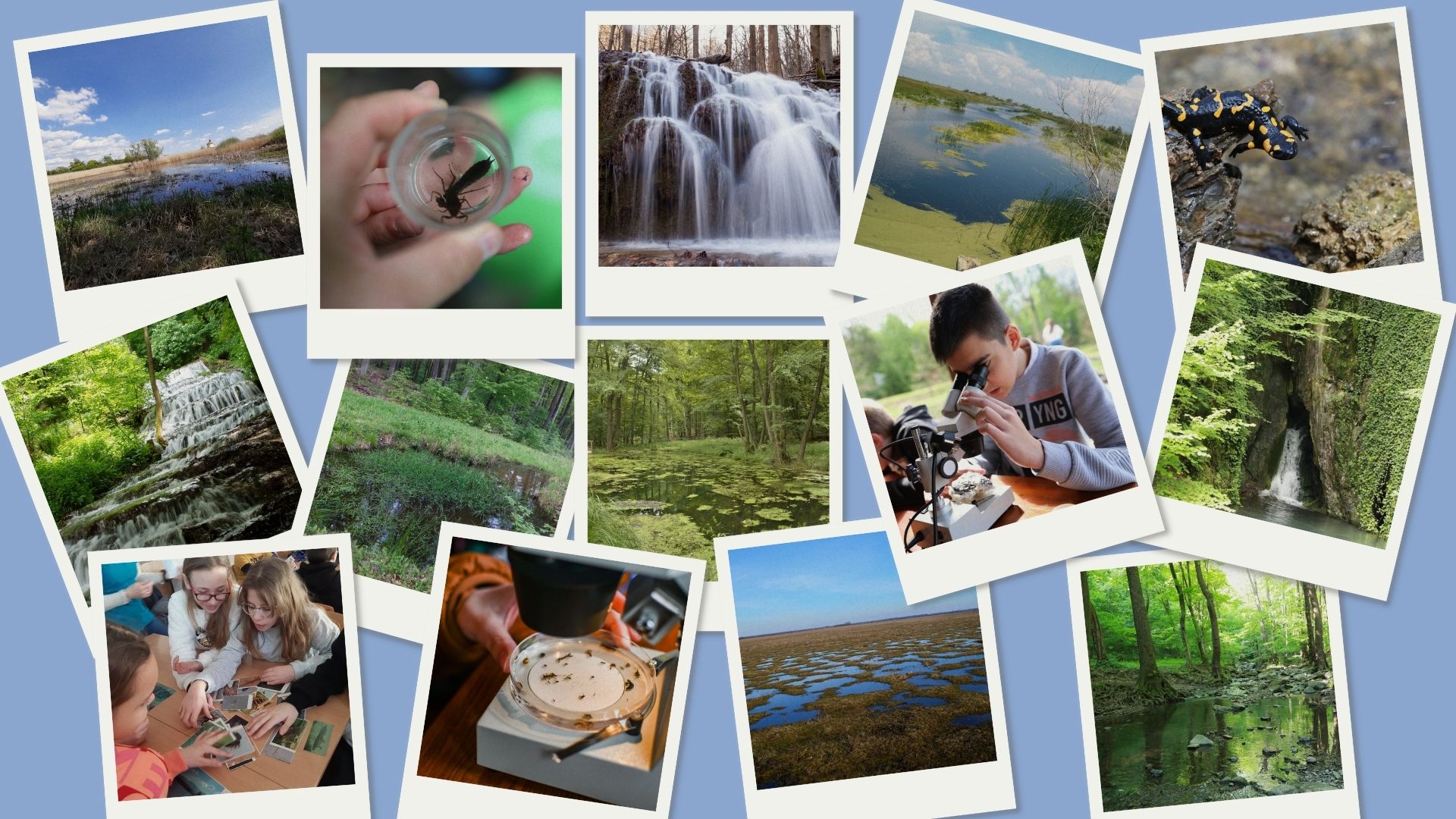 Vizes élőhelyek világnapja_1920.jpg